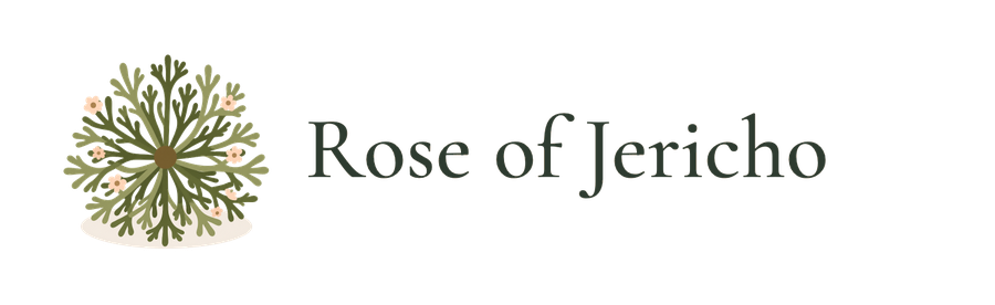 Rose of Jericho